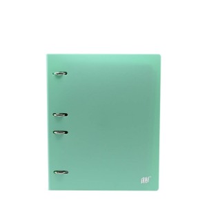 FICHÁRIO ARGOLADO COLEGIAL 96 FOLHAS TONS PASTEL VERDE YES